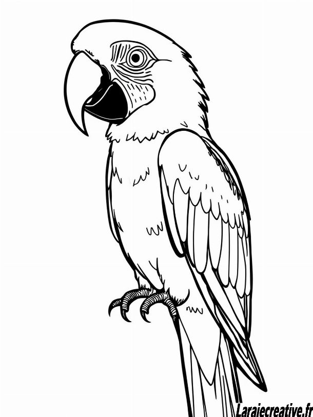 coloriage ara gratuit