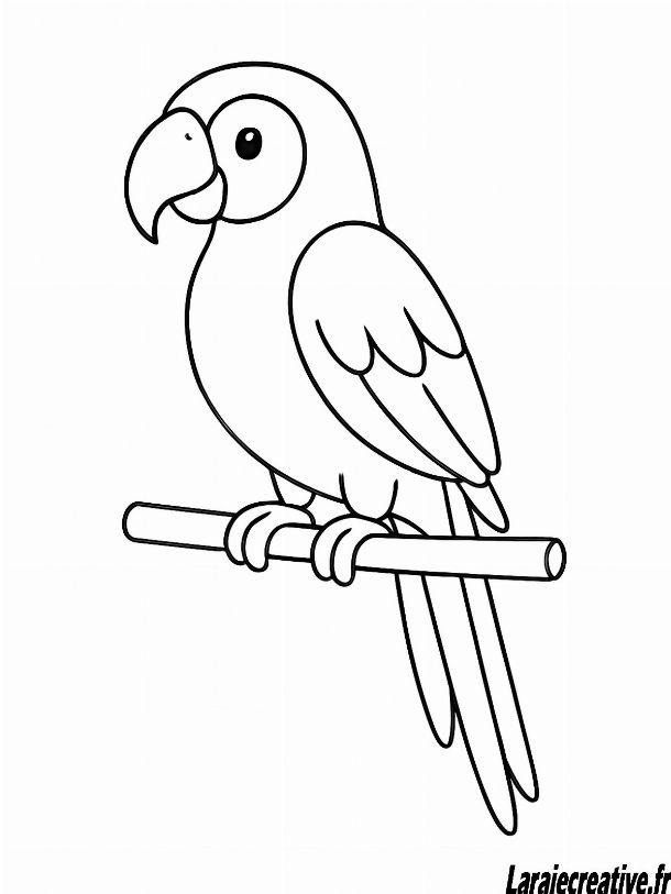 ara coloriage