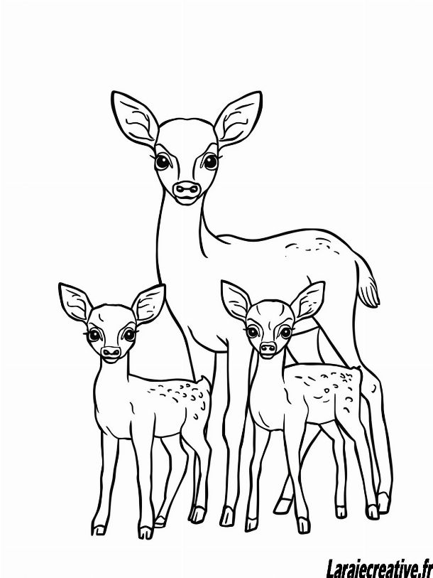 dessin cerf