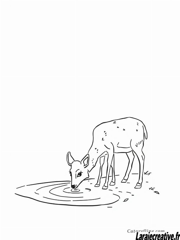 coloriage cerf mignon