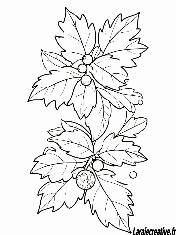 dessin houx de noel