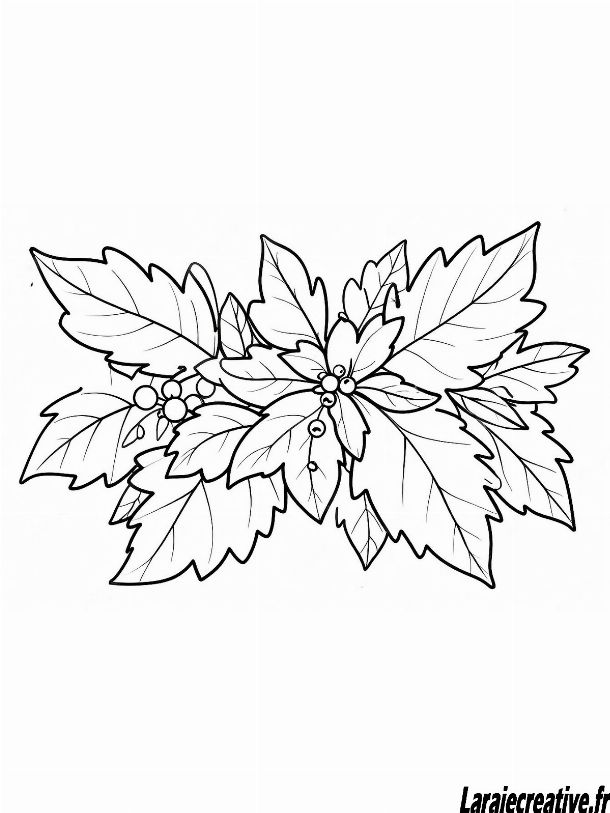 coloriage houx imprimer gratuit