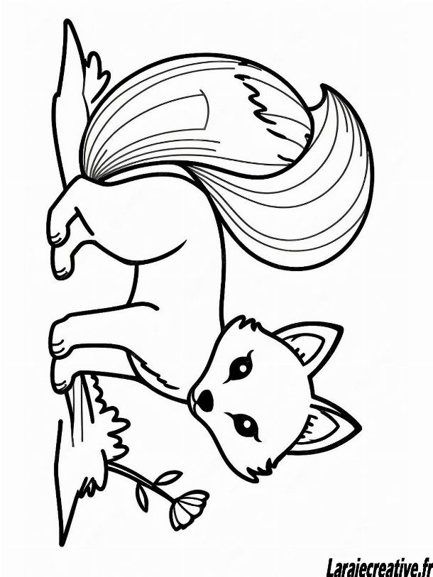coloriage renard roux