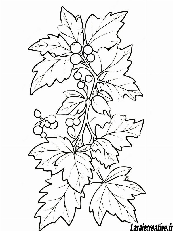 dessin houx noel facile