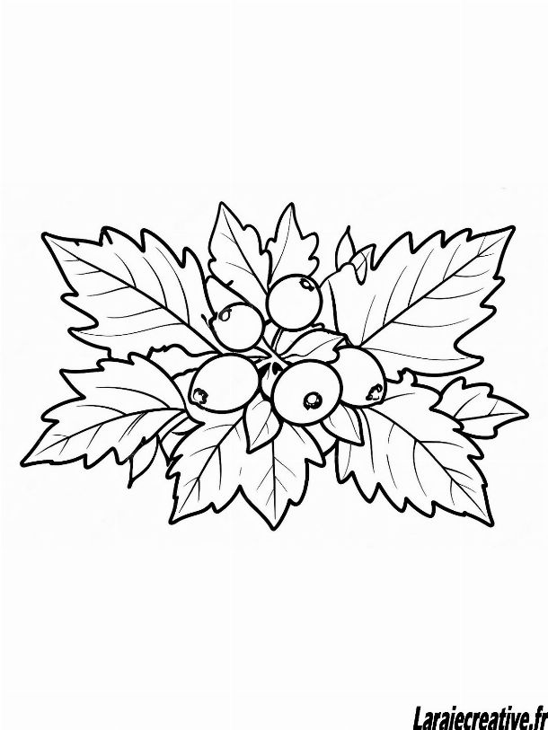 houx noel a colorier