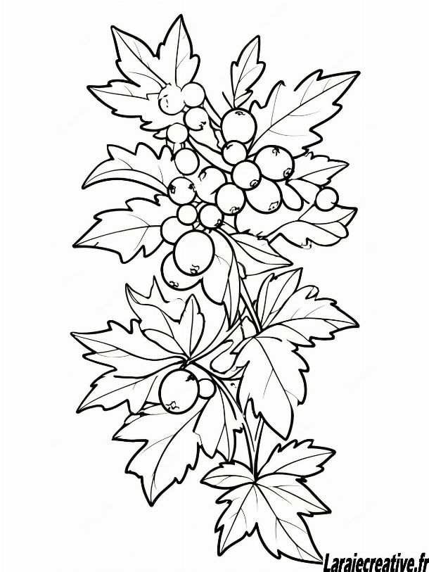 dessin houx de noel couleur
