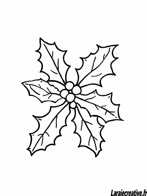 dessin de houx pour noel