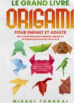 grand livre origami enfant