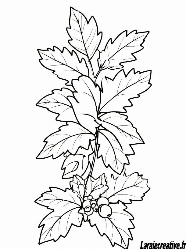 dessin de houx pour noel facile pdf